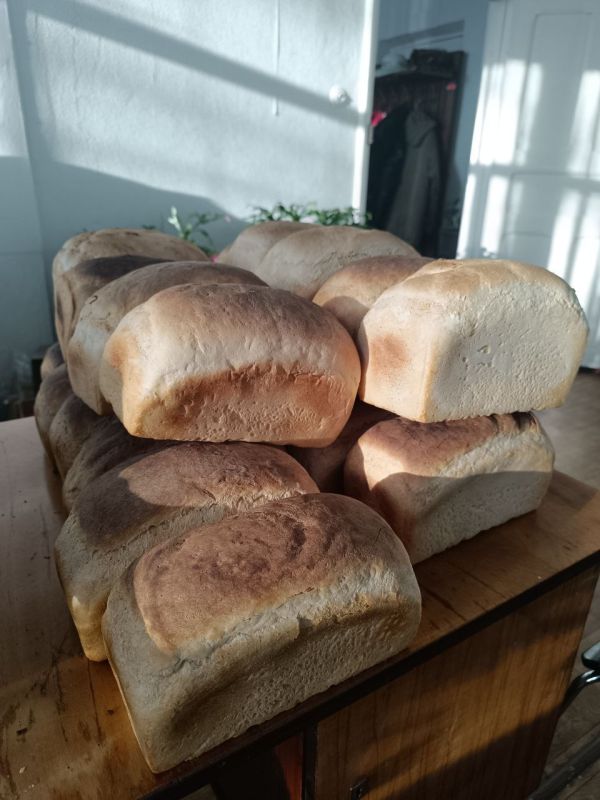 ����� � ����� � �����!. ����� 40 ������� �������, ��������� ����� ������� �������� ������� �. �����������! ��� ������ ������ � ������������� ������� ������� ����, � �������� ������ ������ ��������������� ������ ����� �������