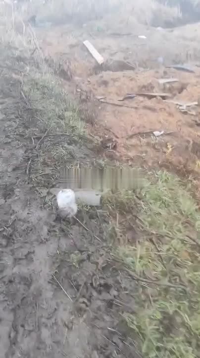 ��� ���� ���� ���, ������� ����� ���� ���� ���-�� �� ��������