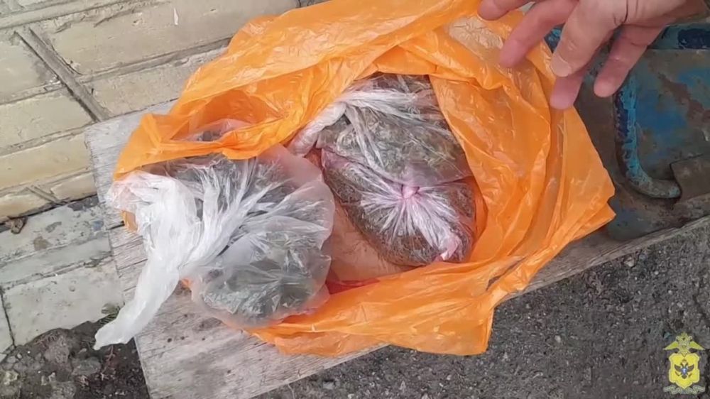 � 51-������� ������ ����������� ������ ������ ������������� ��������, �������� � ��� ������