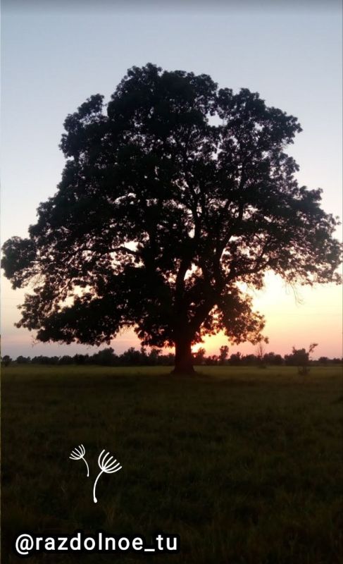 ������ ����������� ����, � ���� �� ����� ��� ����� � �� ������������: ���� ��������! ����� ����� ���� ���� ���� �������� ��� �������� ������� � ������ ��������� ������� �����