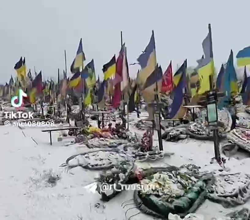 � ���� ��������� ����� � ������������ ������� ��������� � ��������