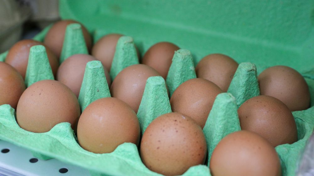 ������ �������� ��������� ������������ ��� �� ����������