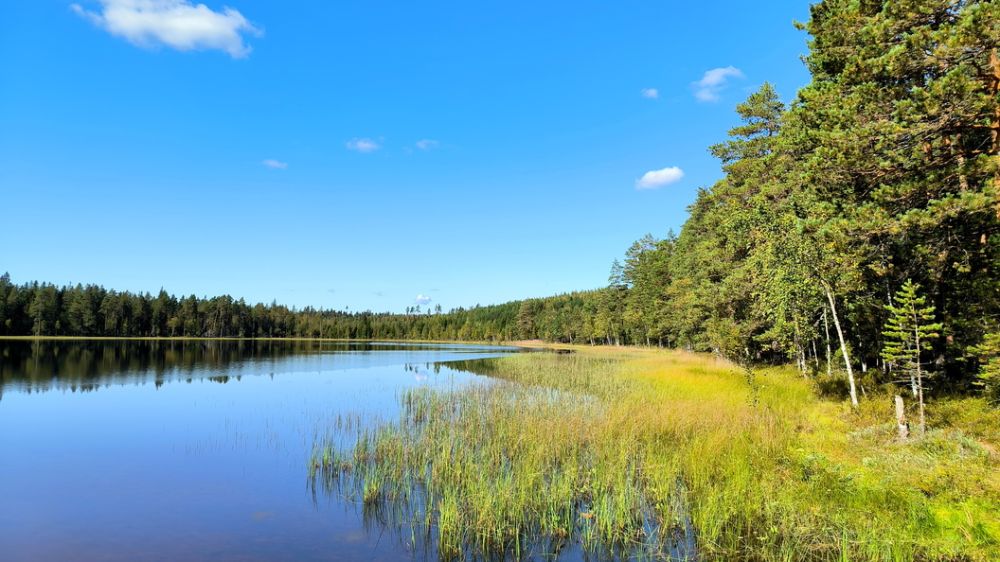 ������������ ������ ����: ������ ��������� � ������������� ���������� ����������