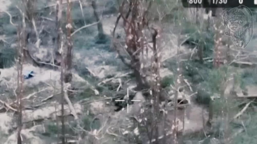 ������� ����� ����� ���������� � ����� �� ������ ������!