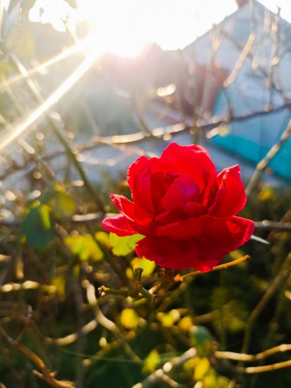 � ������ ����� �����������!