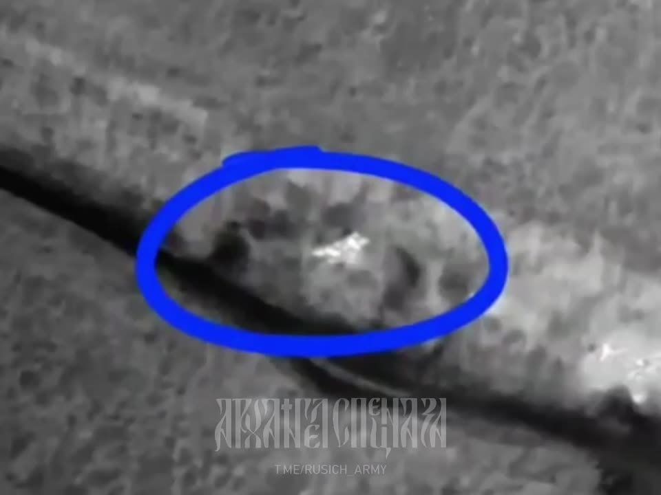 ���������� �����������:. � ���� ������� �������� ���� �������� ��� ��� ������ � ������ ��������