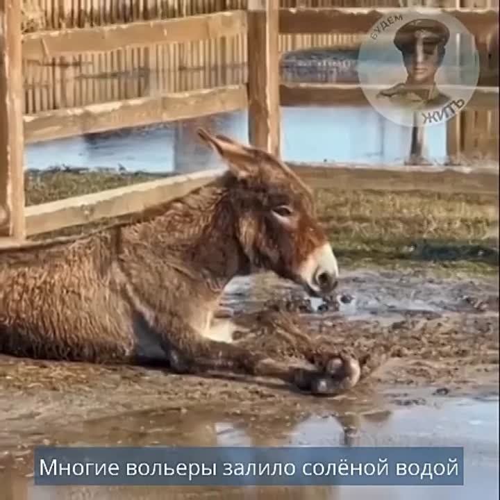 ���������� ���������� ������� �������� � ���������� �������