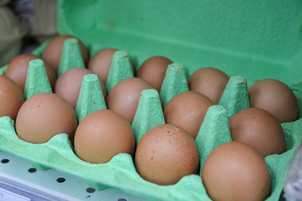 ������ �������� ��������� ������������ ��� �� ����������