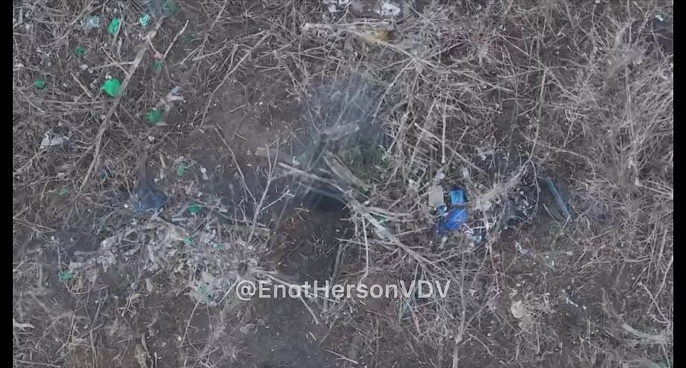 ������ ������ ����������� �� ����������� �����������