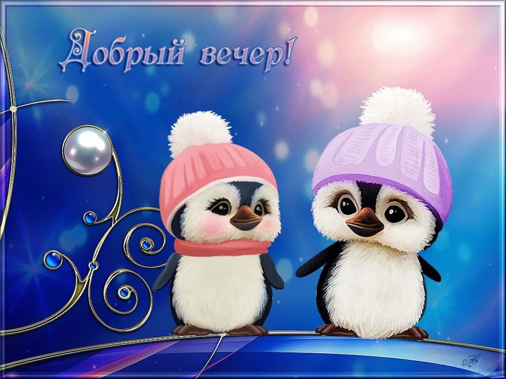 ���� ������� ������, ������!