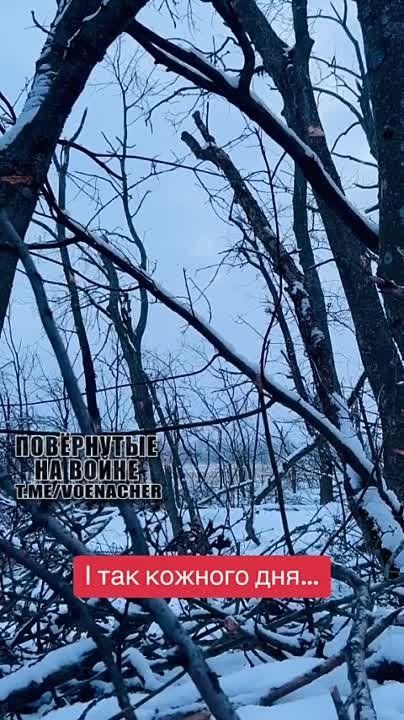 "������ �������� ��� 30 ���������� ������ � ��� ����� ������������ ������ ����, ���� �� �� ���������� �������������"