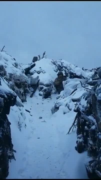 ����� �� �������� ��������