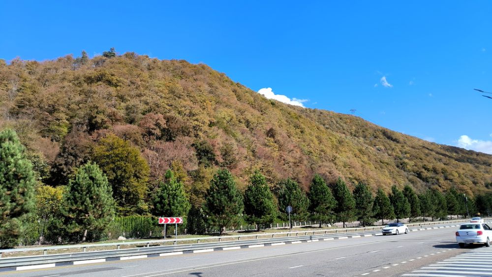 ������ ���������� ��������� ������������� ����� ������ � ����