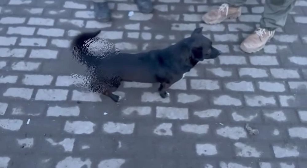 ������� �����: ����������� � ���������� ��� 70 ������� ������