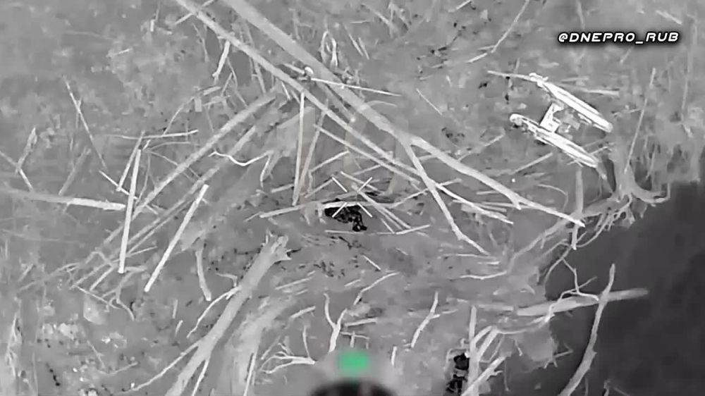 ����� �����: ����������� ����� "�����". ���������� �����������