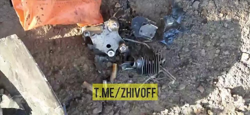 ������� �����: � ���������� �� ���������� ����������� �������� ����� ����� ��� ���������� (����-���������)