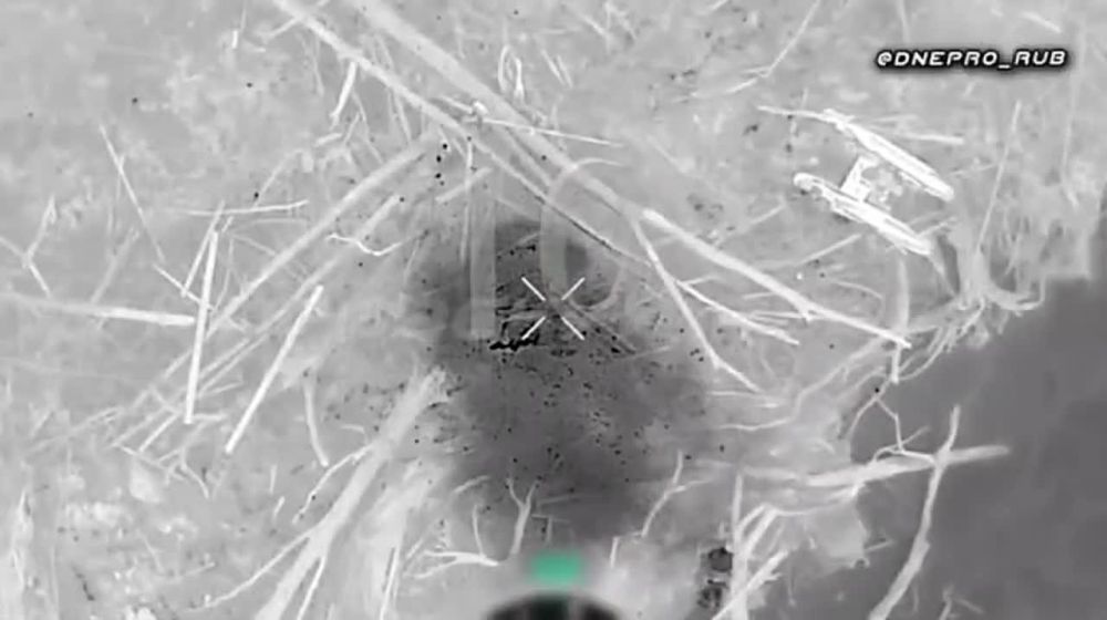 ���������� ������� �������� �� ������ ��� � �������� � ���������� �������