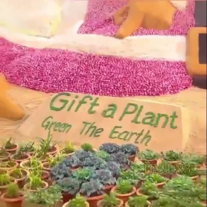 � ����� �������� ������ ������� �������� � ���� �����-������ �� ���� � �����