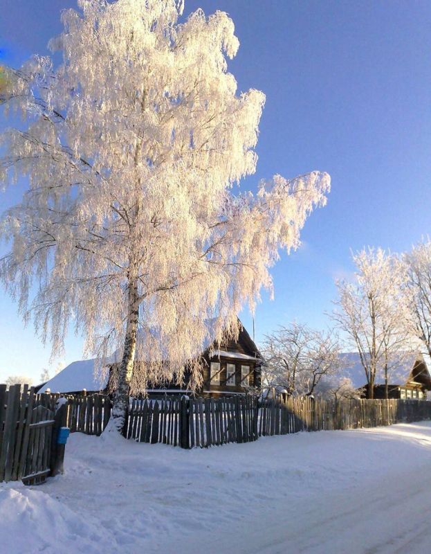 �����. ����� �����