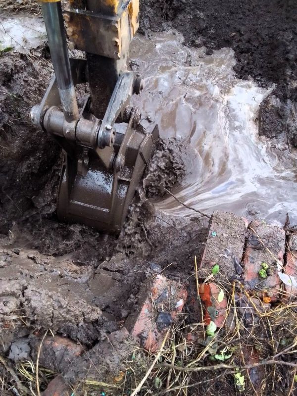 ���������� ����������� ���, ��������� � �������� ������������ �� ������ ������������ ������������� � ����� ��������� � ��������������