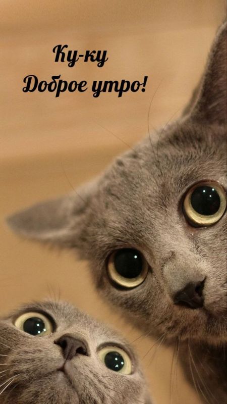 ������ ����. ������� ����� �������� ���� ��������� �������� � �������� ��� � ������ � ������� ����� ��������� �� ������ ������. ��� �������. ����������� �� -1 ����� �� +6 ����