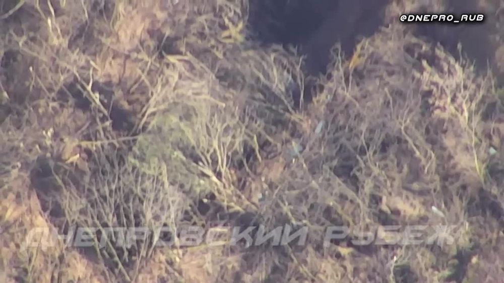 ����� �� �������� ��������������� ������� ��������� �� ���������� �����������