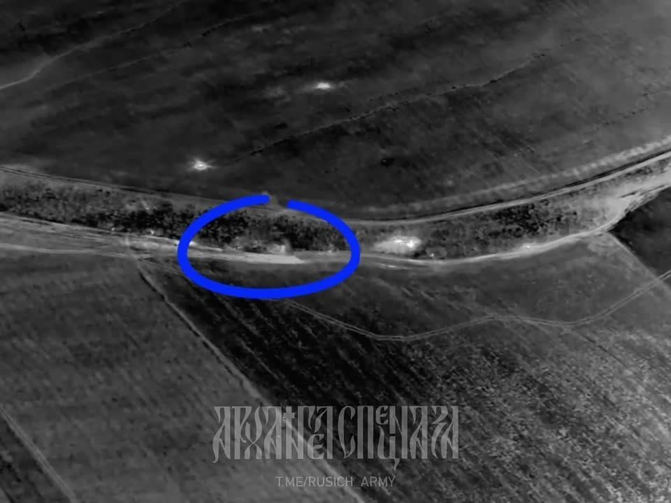 ���������� �����������: