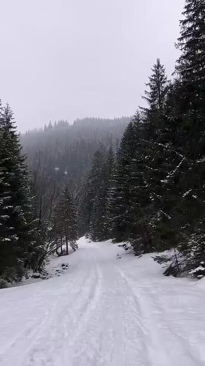 � ������ �����, �����������!