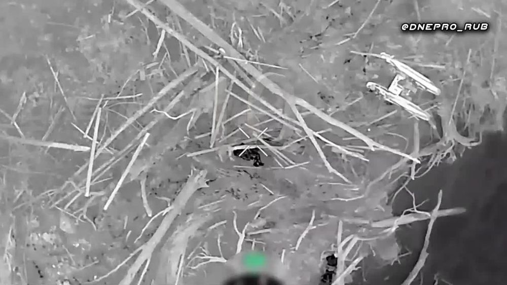 �������� �������� ������� ���������� ����� � ��������� ��� �� ����������� �����������