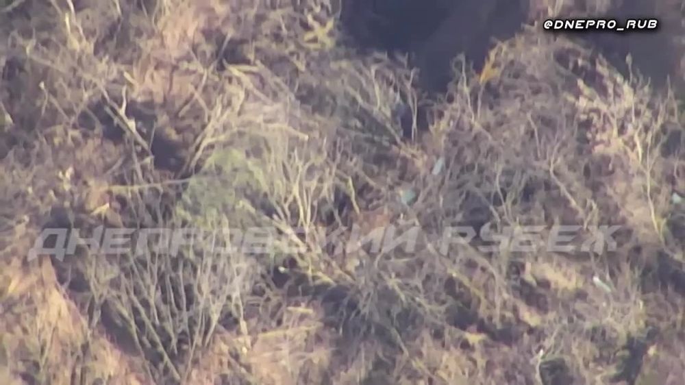 ������� ����� ������� ������� ��� � ���������� �������