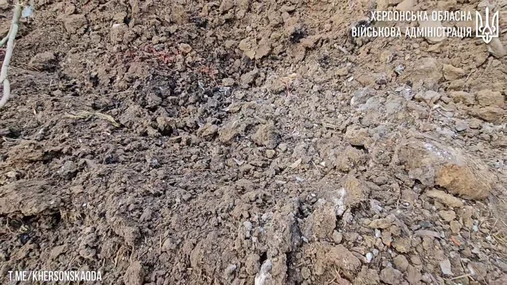 � �� ��� ������.... � ������� ������� ���� ������������ � ���������� ��������� "���������� ���� ���������, 44 � 72 ����. �� ��������� � ����������� ����������. ����� �������� ������������ � ��������� ������ ������������", �������� ����