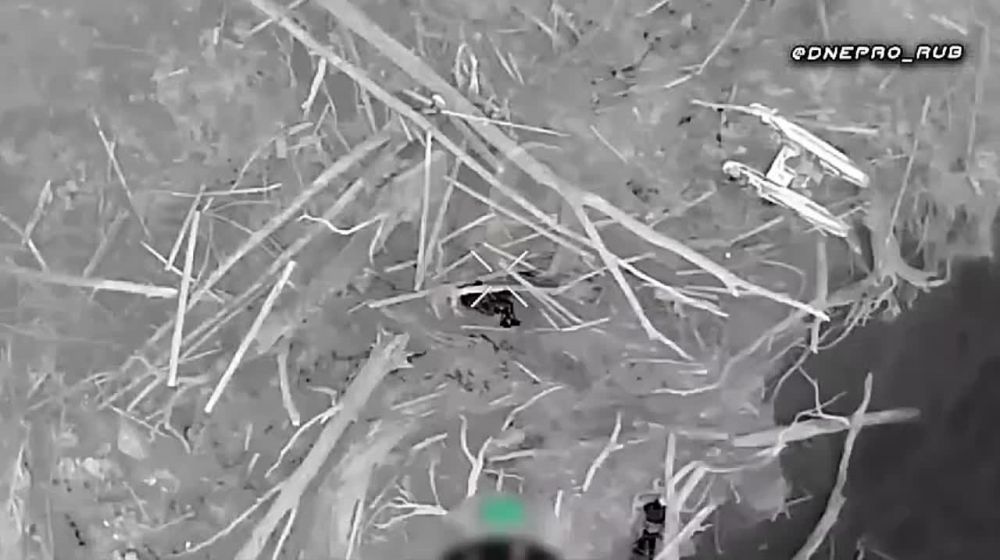 ������ ��������� � ����� � ����������� ��������� � ���������� �������