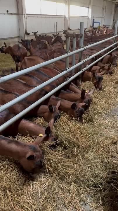 ������ �� ����������!. ������� ������� ���������� �������� ������ ��� - ����� �����, ������� ������ � ��������, ������...