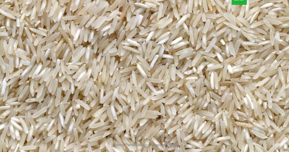 � ������ ������� ��������� ������ �� ����� ����