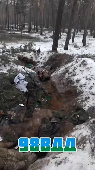 ���������� 98 ������� ��� �� ��������� ������ ���������� ������� ������