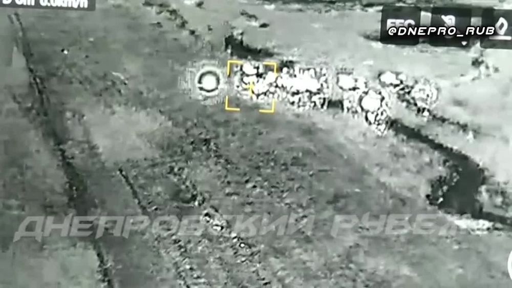 ����� �����: ����������� ����� "�����". ���������� �����������