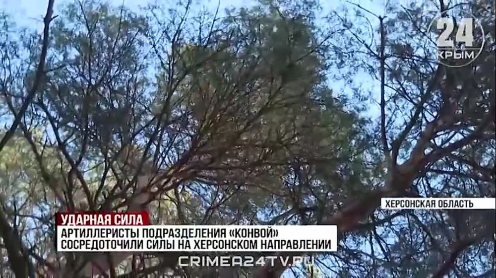 ������� ����: �������� ������������ �������� �� ���������� ����������� ��� ���������� �������� ���������� �������������