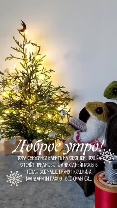 �������, ������ �������, �����������!