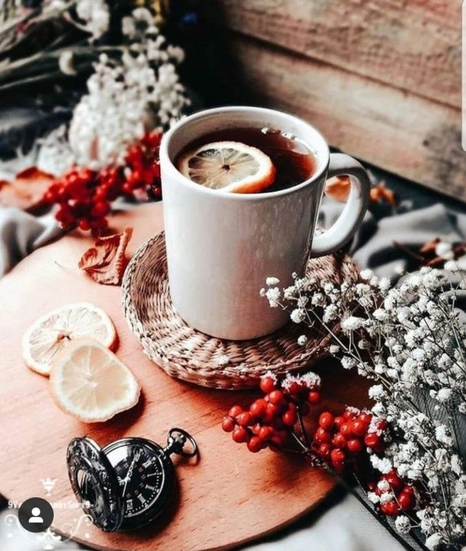 ������ ����. ������� �� ���������� ����� ��� ���� � ������� ����� ������� ��������. ��� �������. ����������� �� 0 ����� �� +6 ����