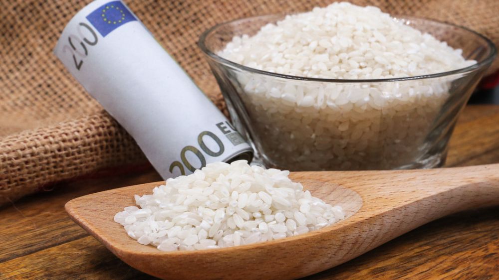 ������ �� ����� ���� �� ������ ������