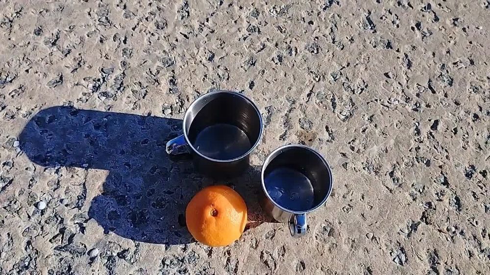 ������������ ������ ���������� �������