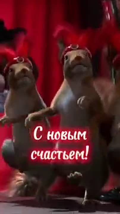 ��������� 31 �������. �������� ����