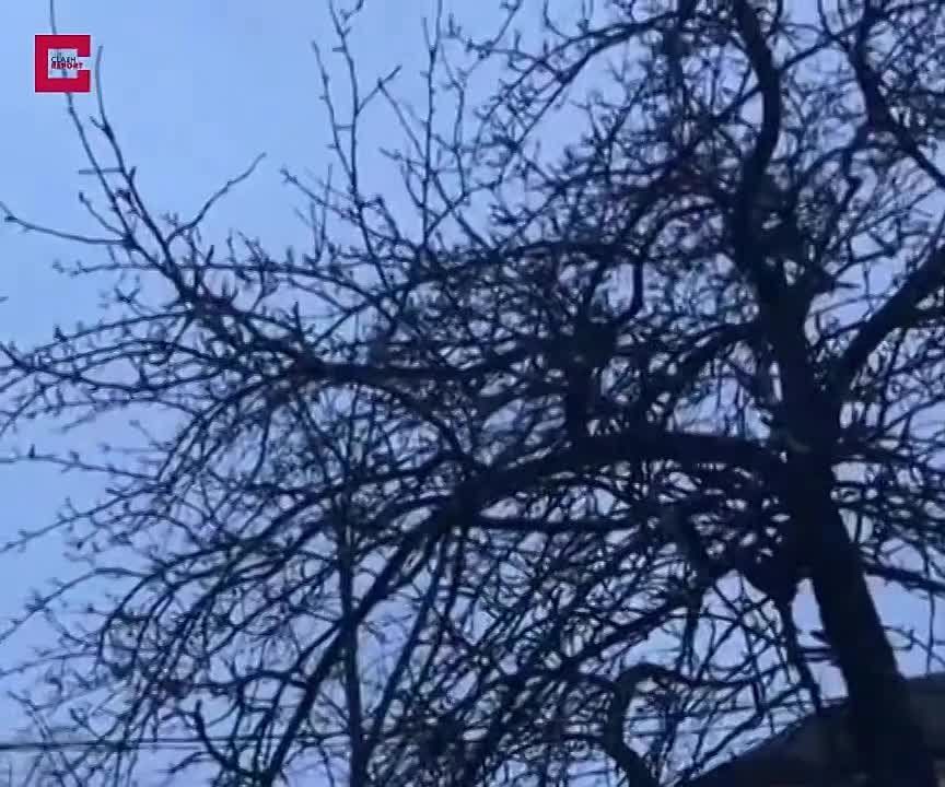 � �������� ������ ����� ��� ������, ������ �������� ����� ������� �����