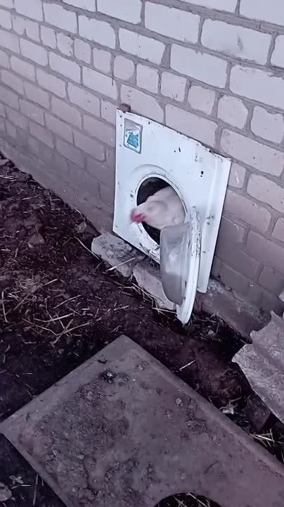 �������� �������������� �������� �� �������