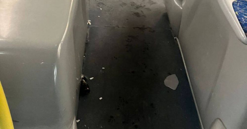 ���� ������� ����� ����� ����� ��� �� ��������