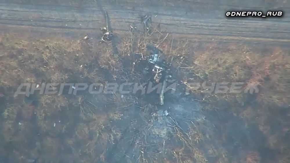 ����������� ����� "�����". ���������� �����������