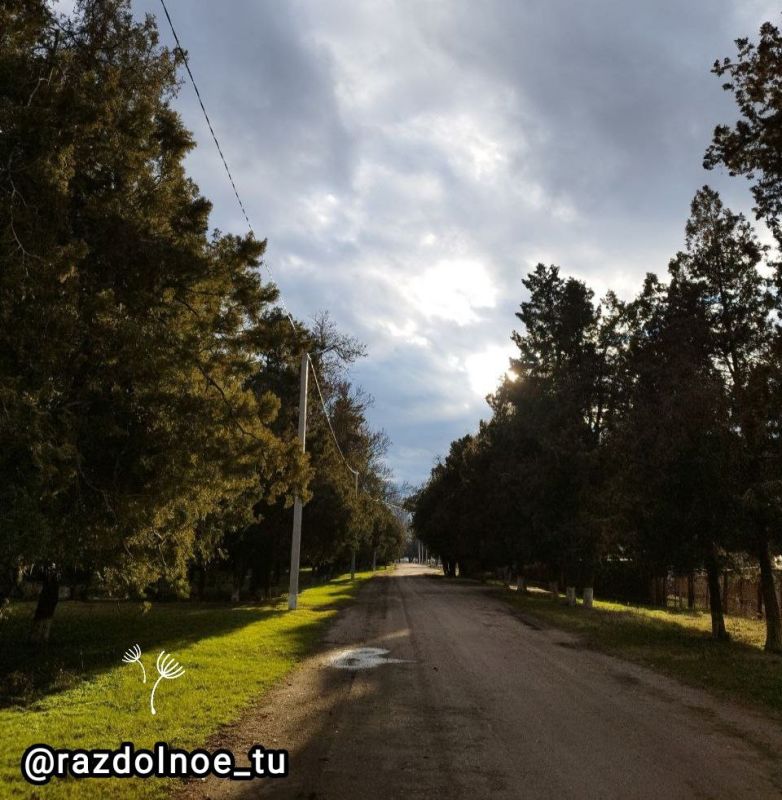 ����������,� ���� � ������