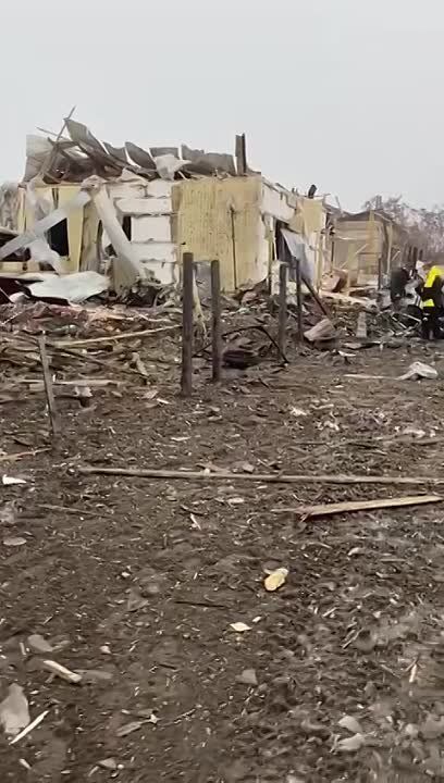 ���� ������������� ����������� �������