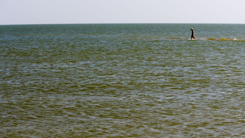 ��������� ��������� ������� ����� ����������� � �������� ���� ����� ������� ��������� ���