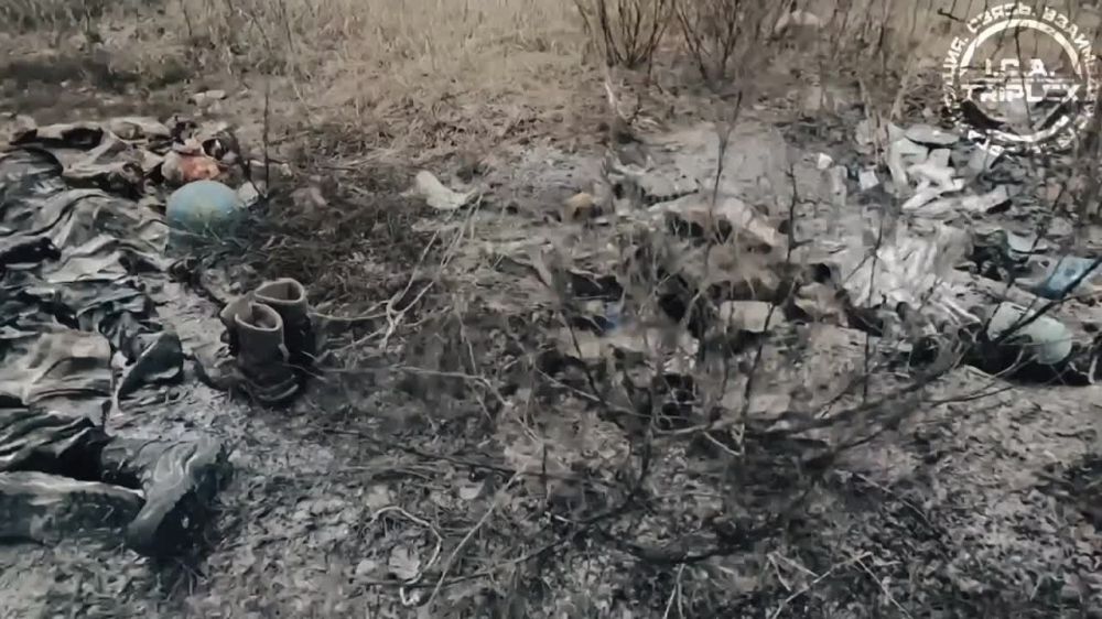 �������� ������ ������ ������ ��������� ����� ����� �� �� �� 2023 ���